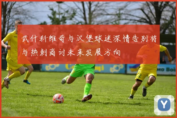 武什科维奇与汉堡球迷深情告别将与热刺商讨未来发展方向