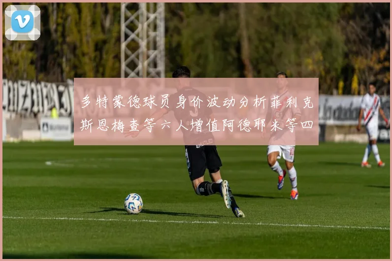 多特蒙德球员身价波动分析菲利克斯恩梅查等六人增值阿德耶米等四人贬值